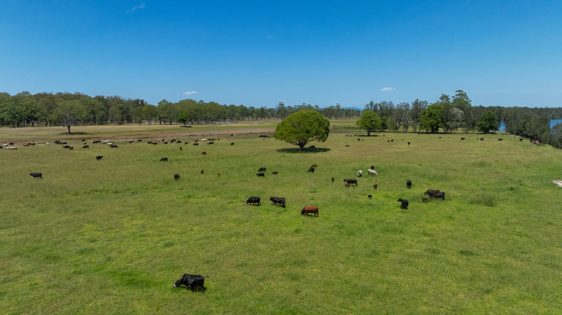 Additional image 12 of 79, 81 & 249 Elliots Road, Nabiac NSW 2312