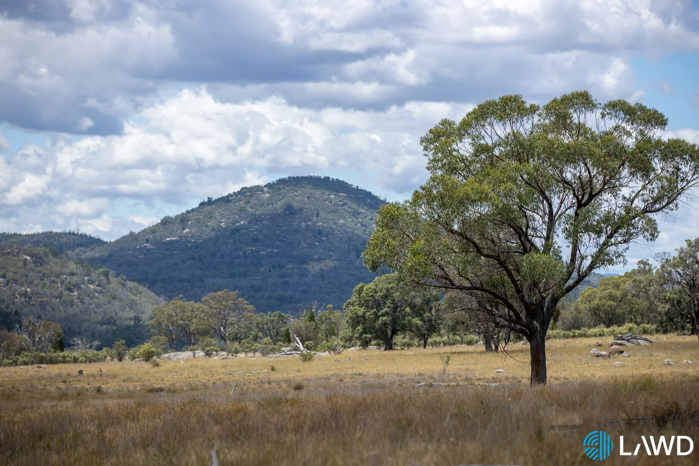 Additional image 7 of 742 Bendemeer Road, Kingstown NSW 2358