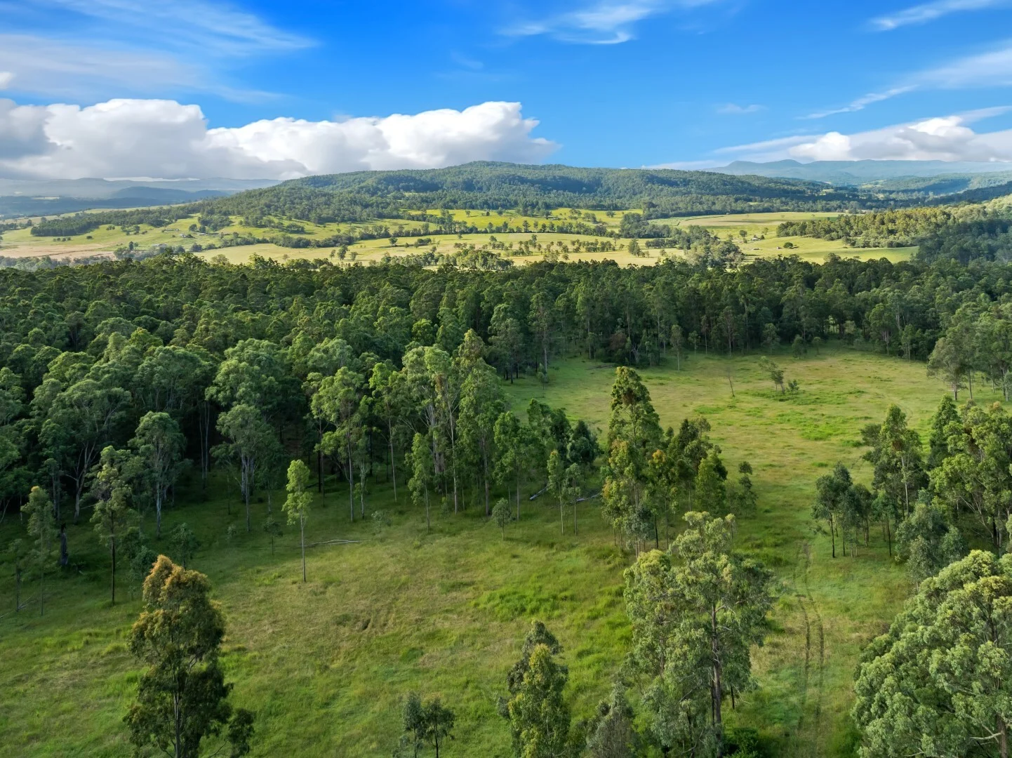Additional image 16 of 62-69 Duck Creek Road, Bonalbo NSW 2469