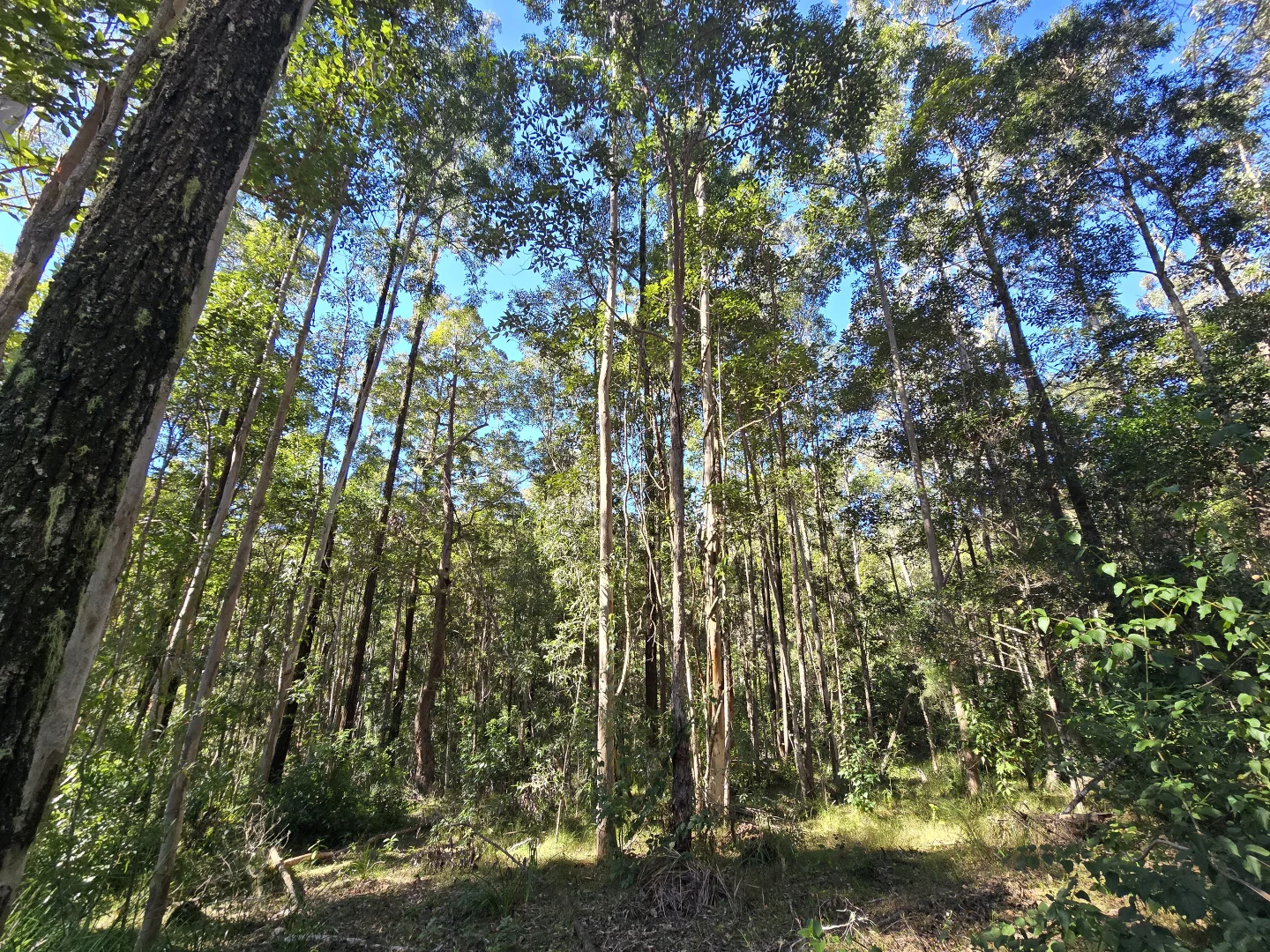 Additional image 18 of 0 SUNDAY CREEK ROAD, Jimna QLD 4515