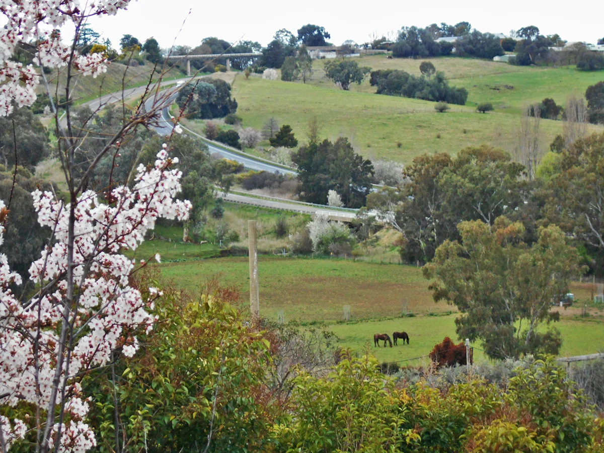 33 Francis Ave, Gundagai NSW 2722