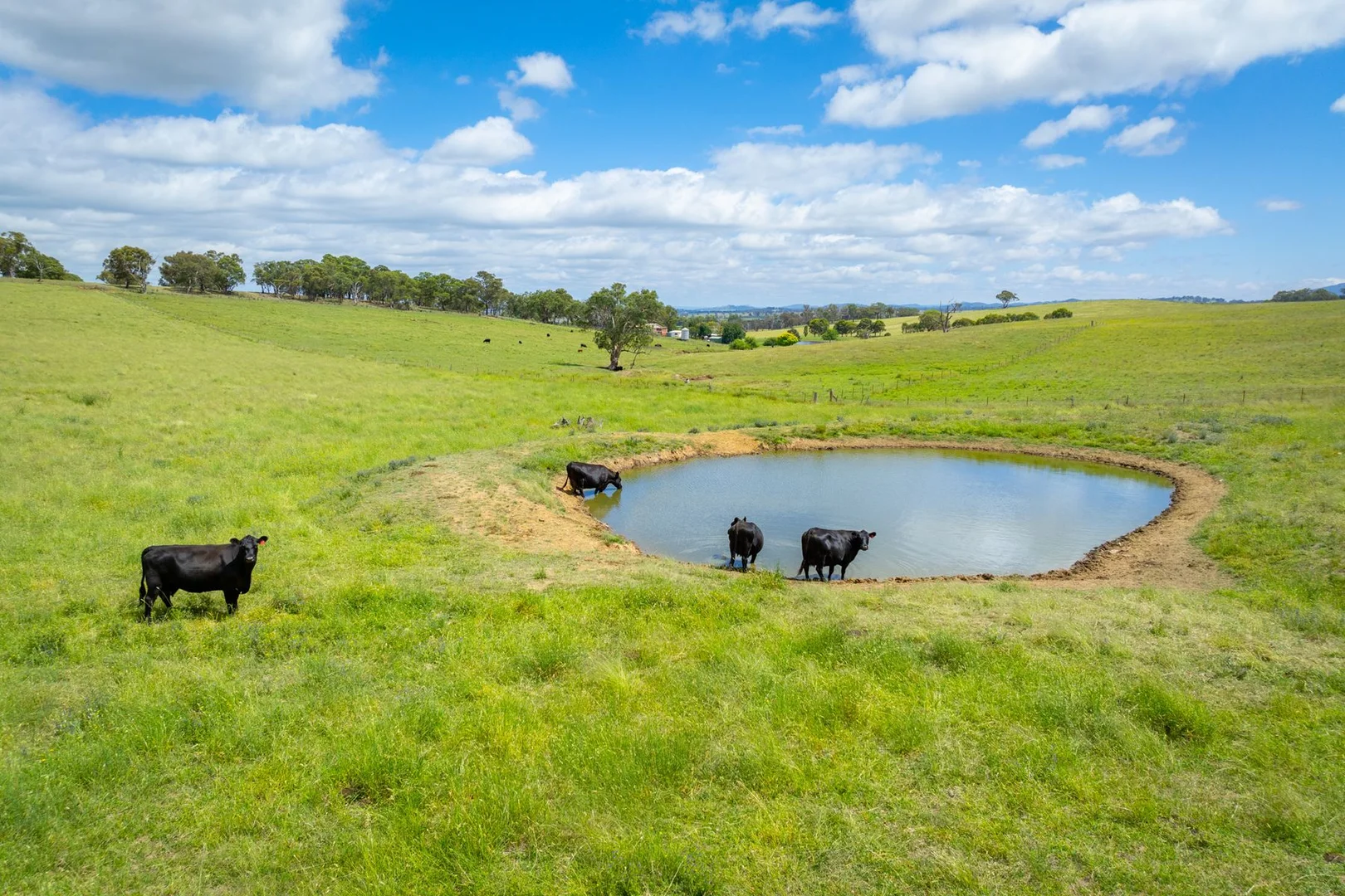 Additional image 4 of 188 Burkes Lane, Brewongle NSW 2795