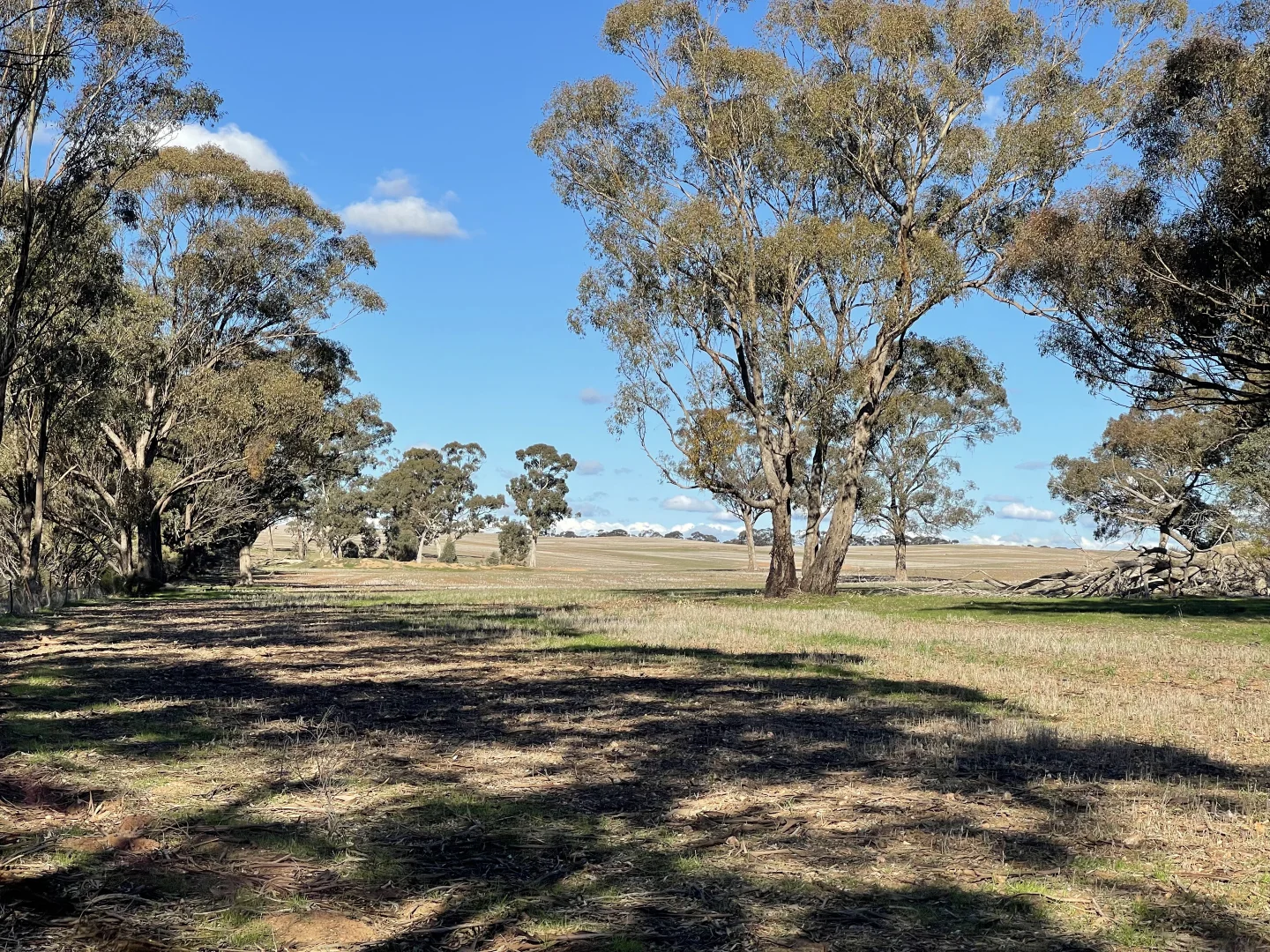 Additional image 20 of 54/54 Calder Highway, Wedderburn VIC 3518