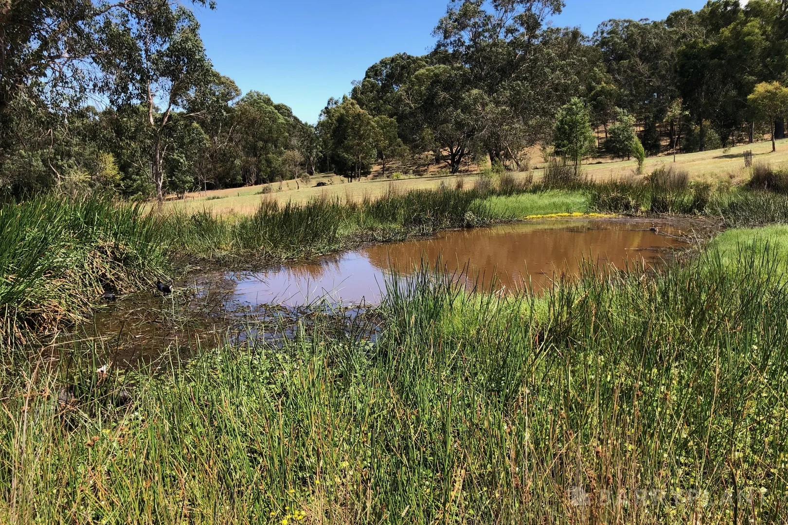 Additional image 13 of 450 Sheepstation Creek Road, Yellingbo VIC 3139