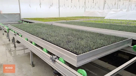 Additional image 16 of Peats Ridge NSW 2250