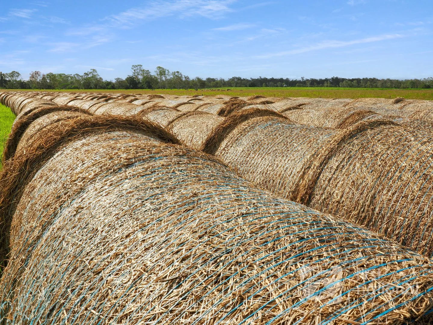 Additional image 22 of 149 Smiths Crossing Road, Bucca QLD 4670