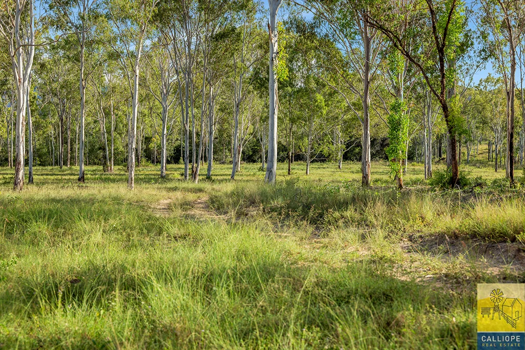 Additional image 29 of 400 Wildman Road, Iveragh QLD 4680