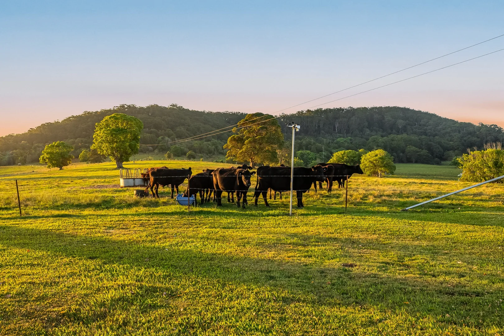 Additional image 32 of 428 Old Bagotville Road, Meerschaum Vale NSW 2477