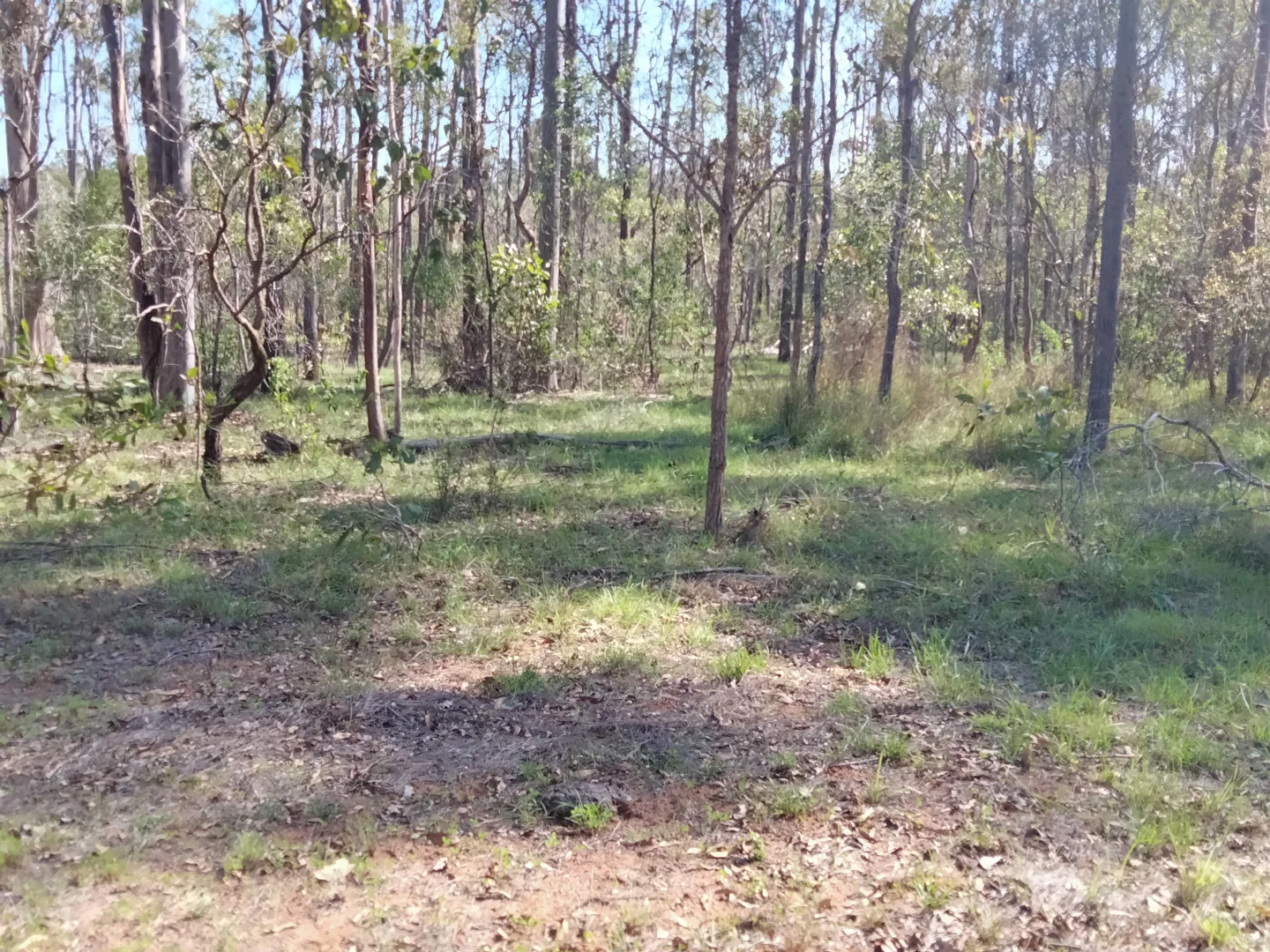 Additional image 68 of 2913 Rosedale Road, Yandaran QLD 4673