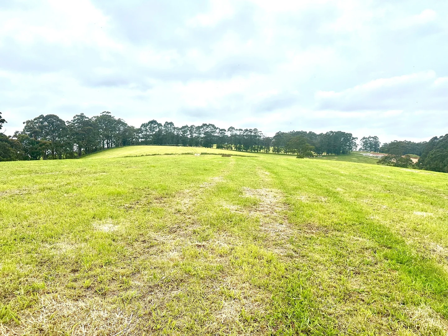 Additional image 14 of 655 Old Thorpdale Road, Mirboo North VIC 3871