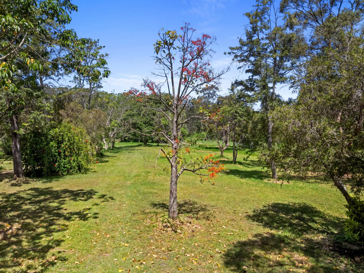 Additional image 13 of 43 James Street, Cooran QLD 4569