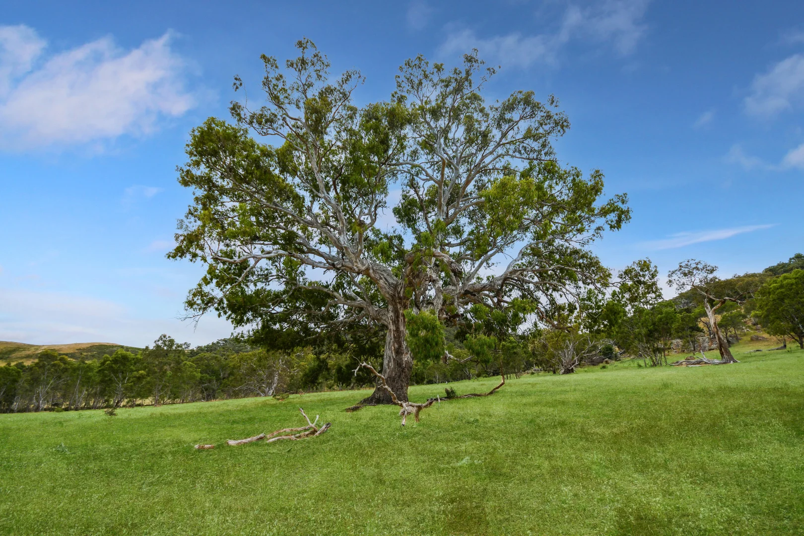 Additional image 34 of LOT 2 ON PS716983N L J DAWSON ROAD, Elmhurst VIC 3469