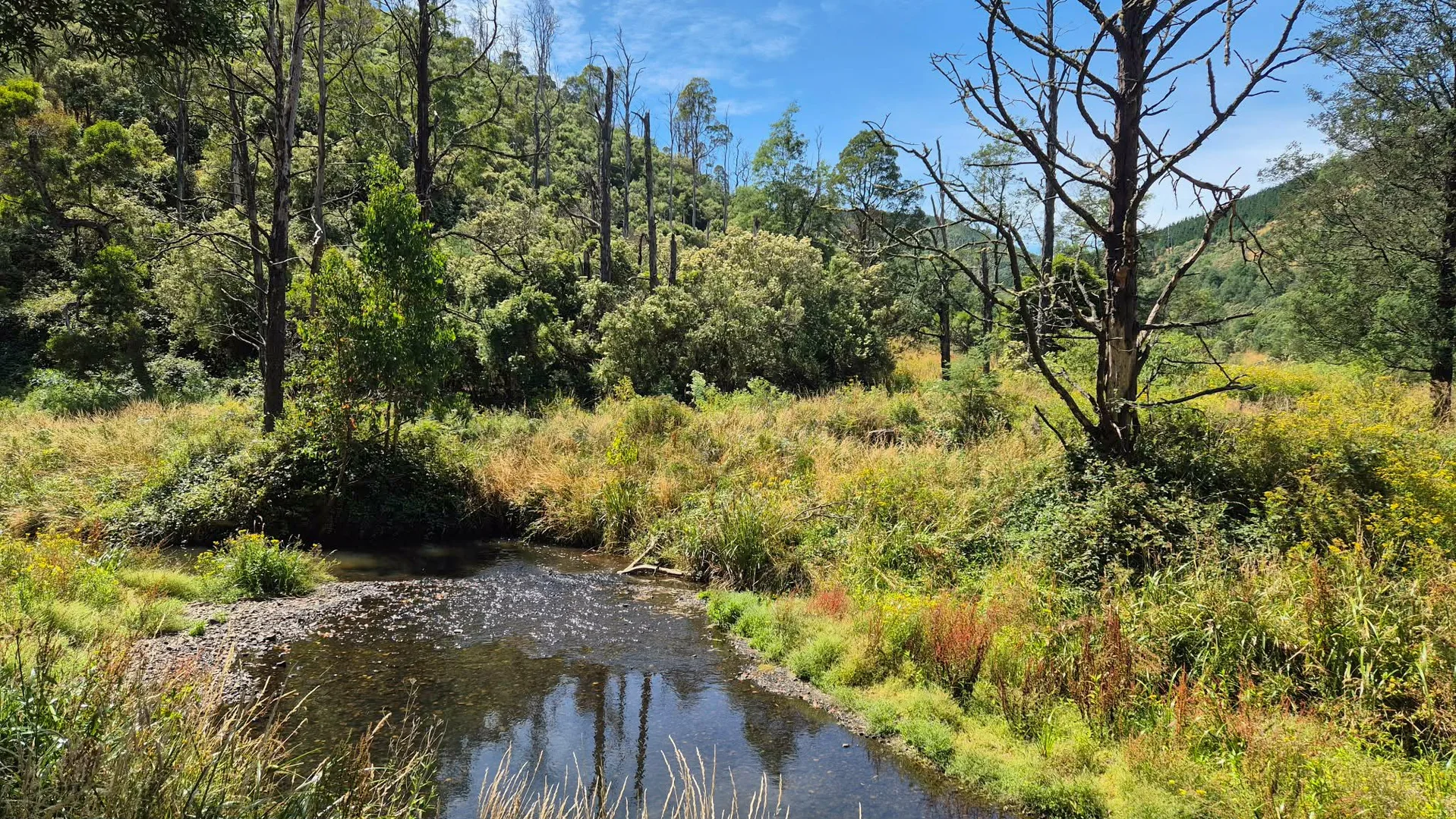 Additional image 13 of 1 Upper Middle Creek Road, Budgeree VIC 3870