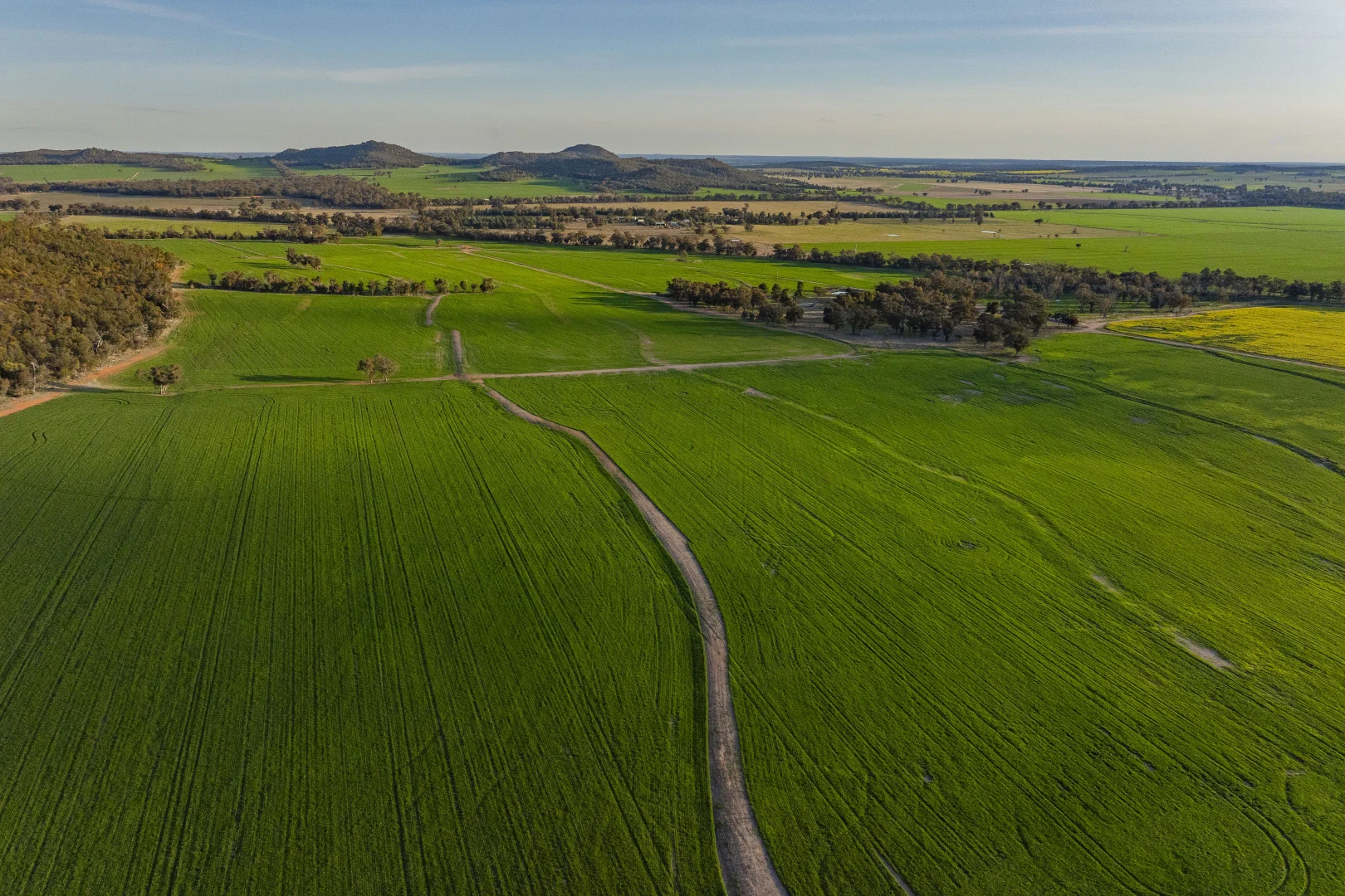 Additional image 33 of 1349 Trungley Hall Road, Temora NSW 2666