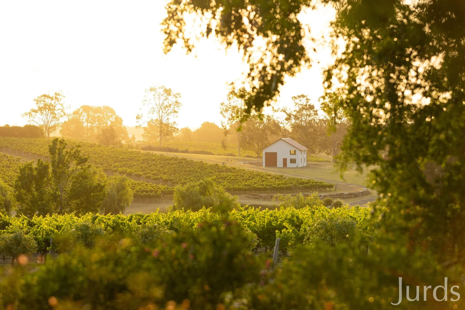 Additional image 2 of 110 Old North Road, Pokolbin NSW 2320