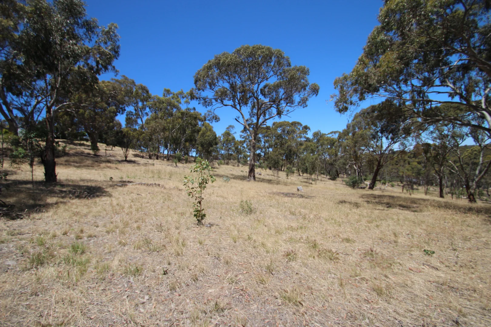 Additional image 19 of Lot 44 Norman Drive, Stanley Flat SA 5453