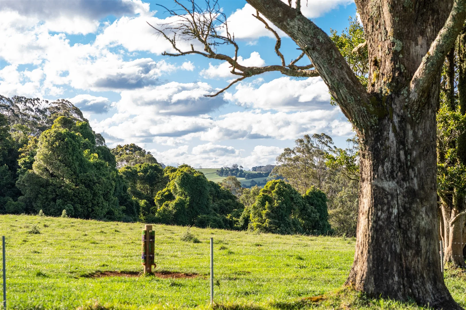 Additional image 12 of 4980 Illawarra Highway, Robertson NSW 2577