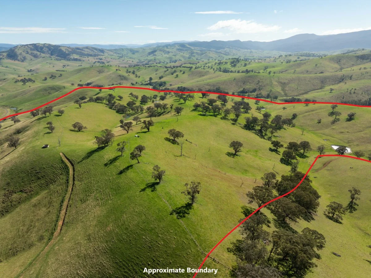 Additional image 6 of 198 Watts Creek Road, Ensay VIC 3895