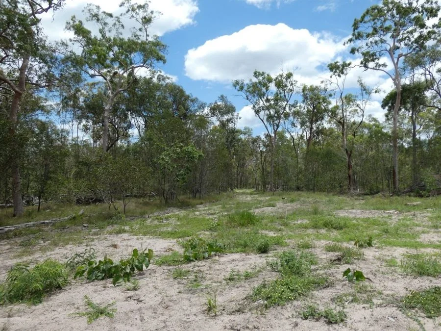 Additional image 18 of Lot 41 Moolyung Road, Waterloo QLD 4673