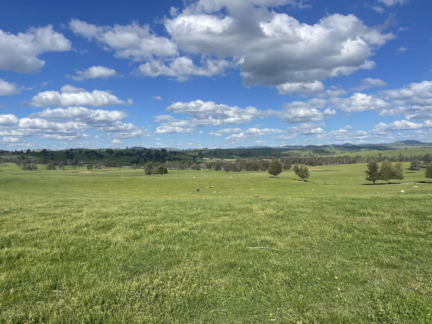 Additional image 9 of Lot 70 Cooney's Creek Road, Jugiong NSW 2726