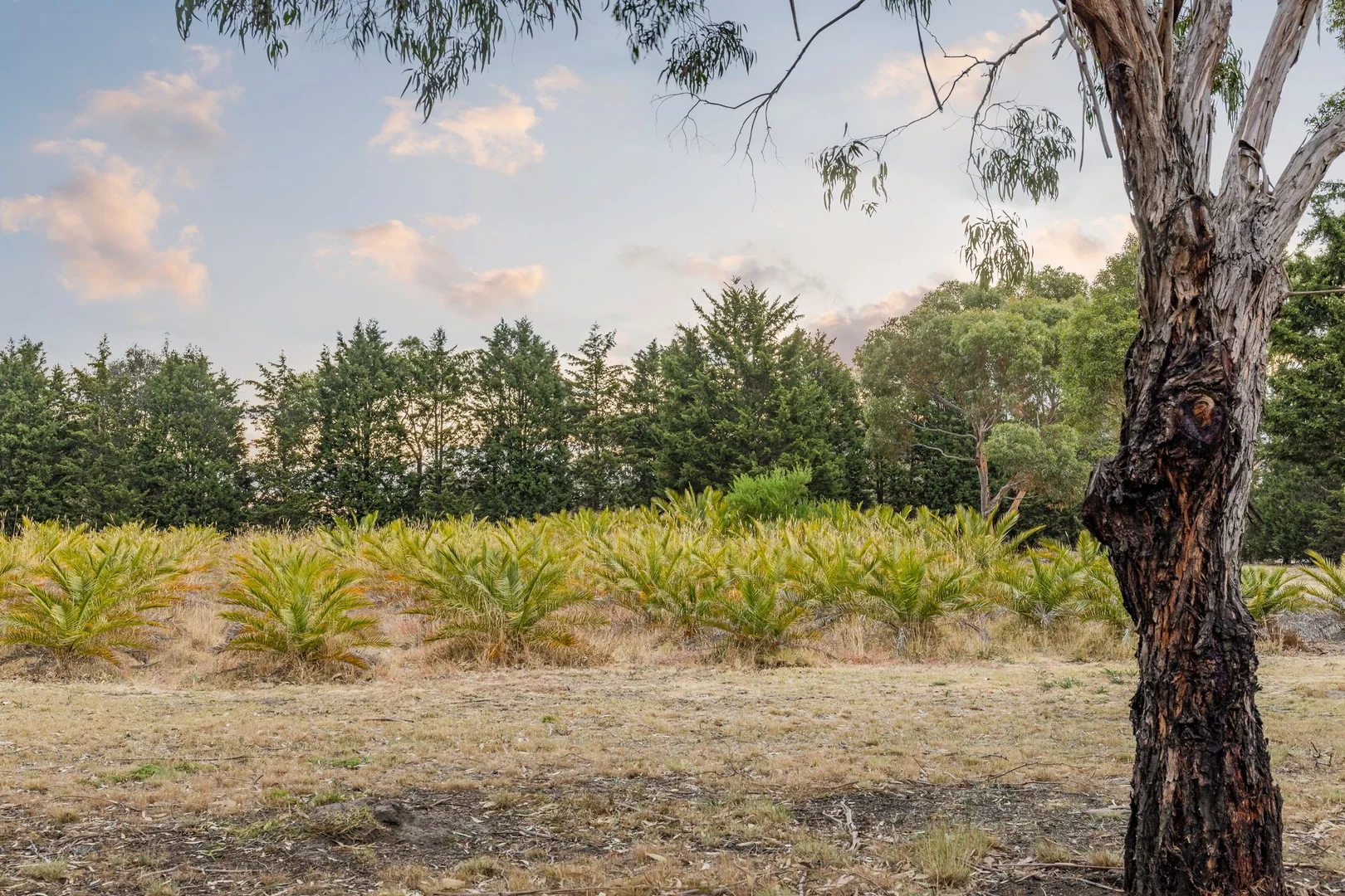 Additional image 24 of 8 Kestrel Crescent, Mount Duneed VIC 3217