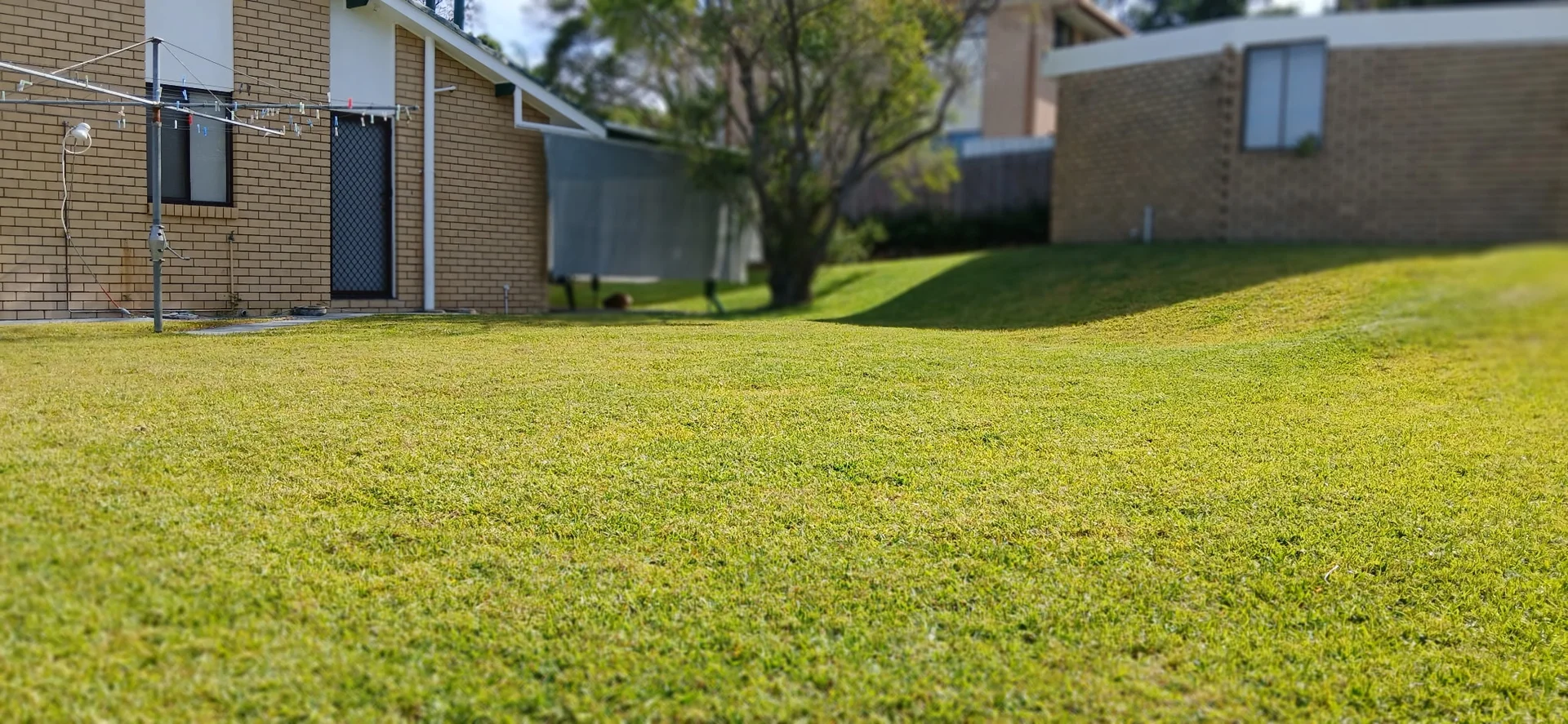 Additional image 8 of Ashmore QLD 4214