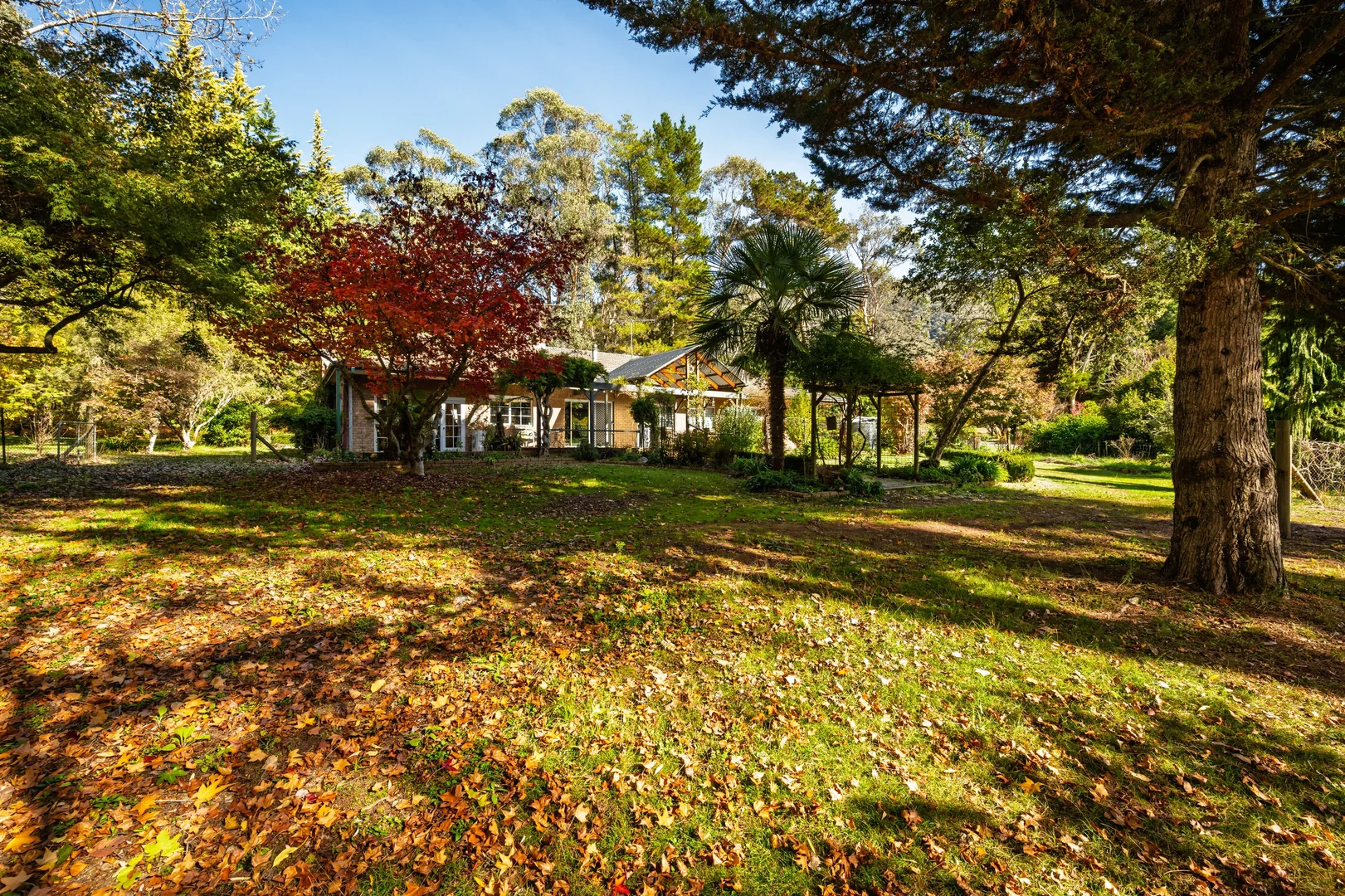 Additional image 29 of 839 Great Alpine Road, Freeburgh VIC 3741