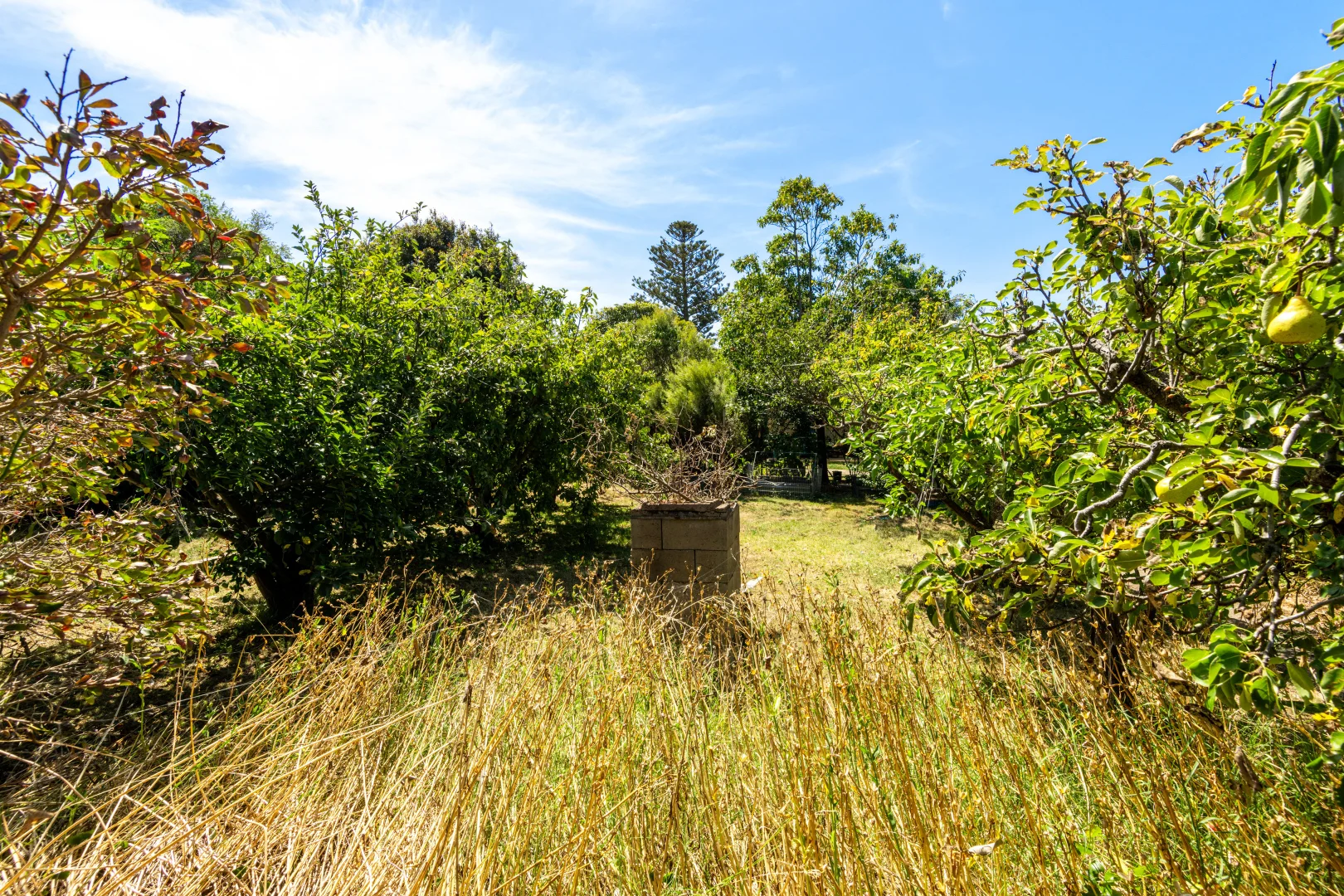 Additional image 15 of 14 Drysdale Street, Portarlington VIC 3223