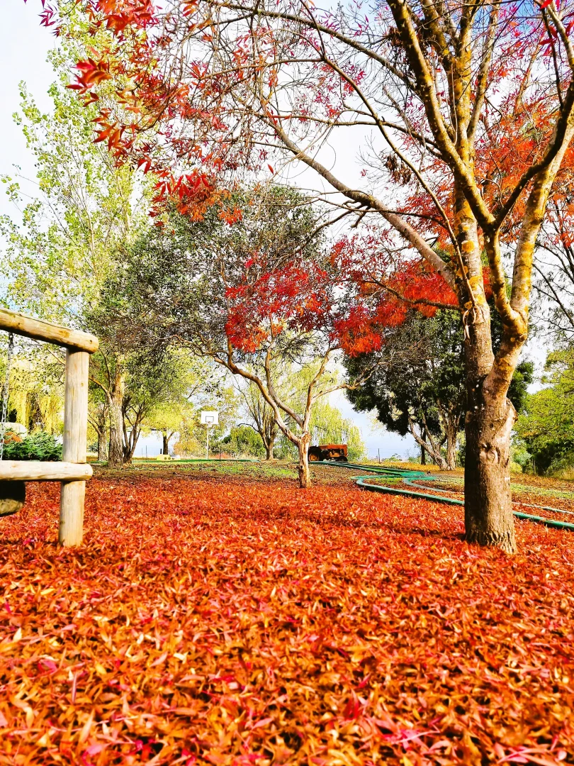 Additional image 7 of 10 DOUST STREET, Bridgetown WA 6255