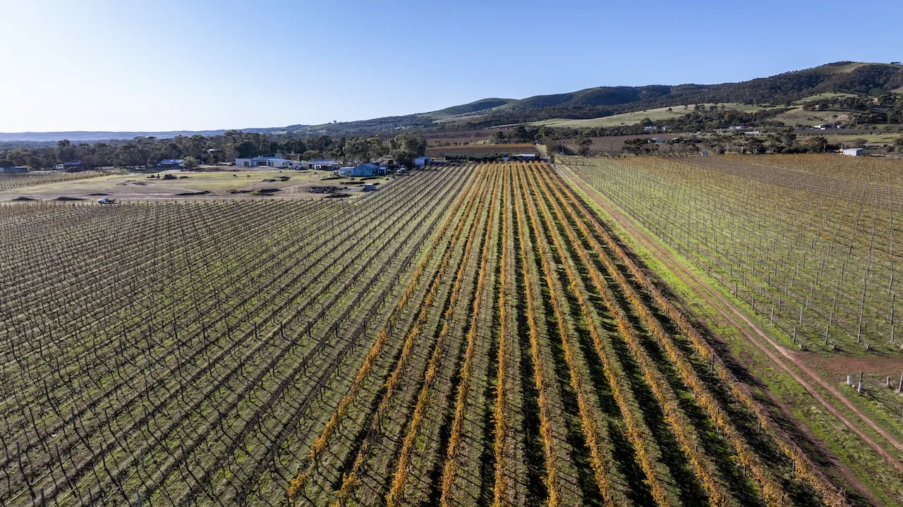 Additional image 45 of 428 Plains Road, Sellicks Hill SA 5174