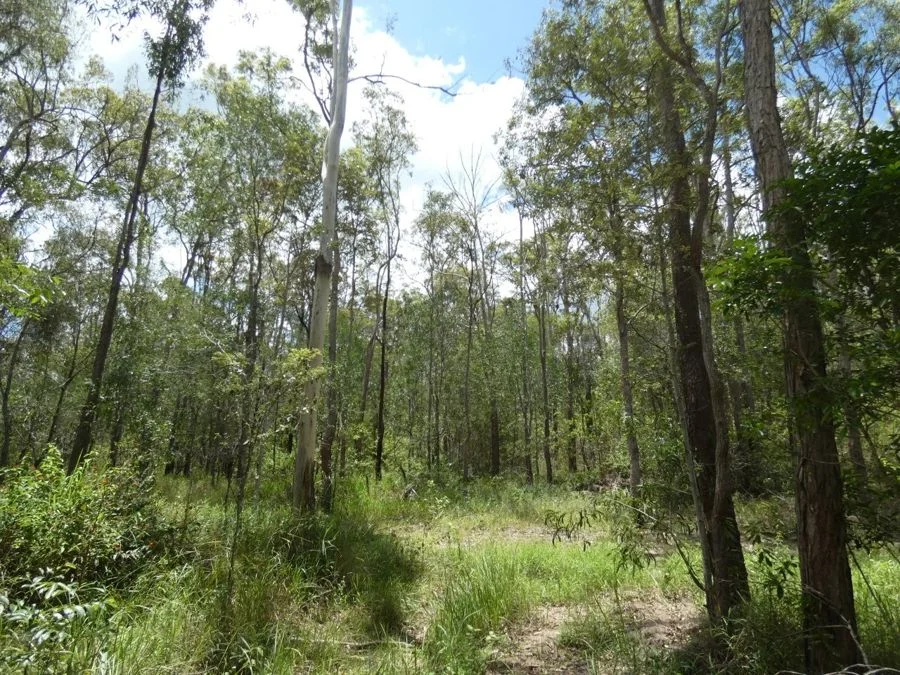 Additional image 24 of Lot 41 Moolyung Road, Waterloo QLD 4673