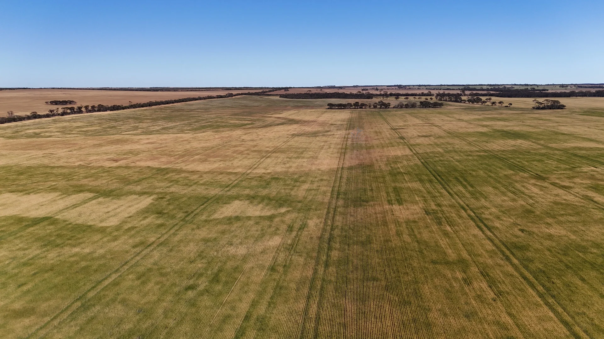 Additional image 32 of 3279 Calzoni Road, Hyden WA 6359