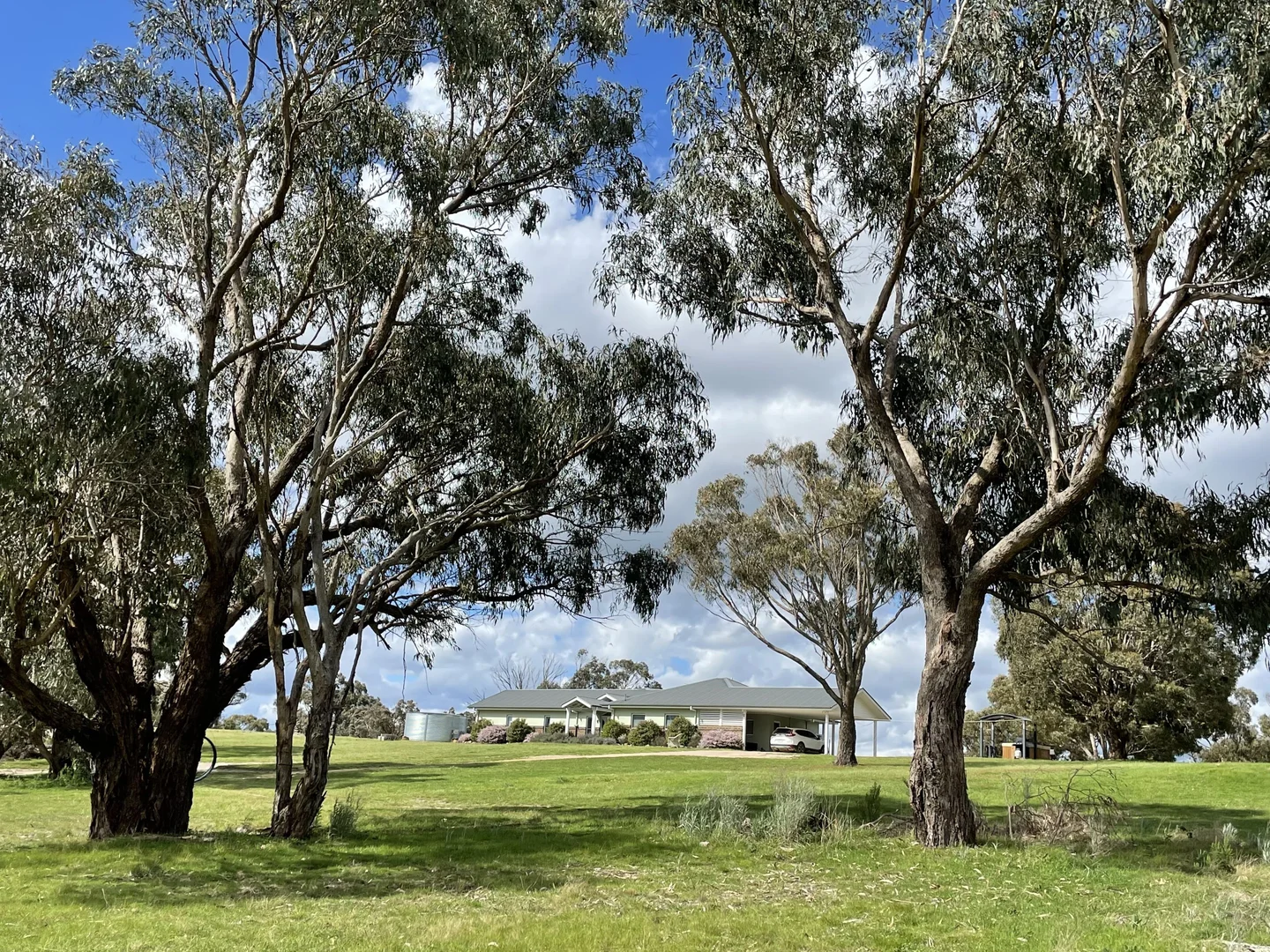 Additional image 28 of Mount Rankin NSW 2795