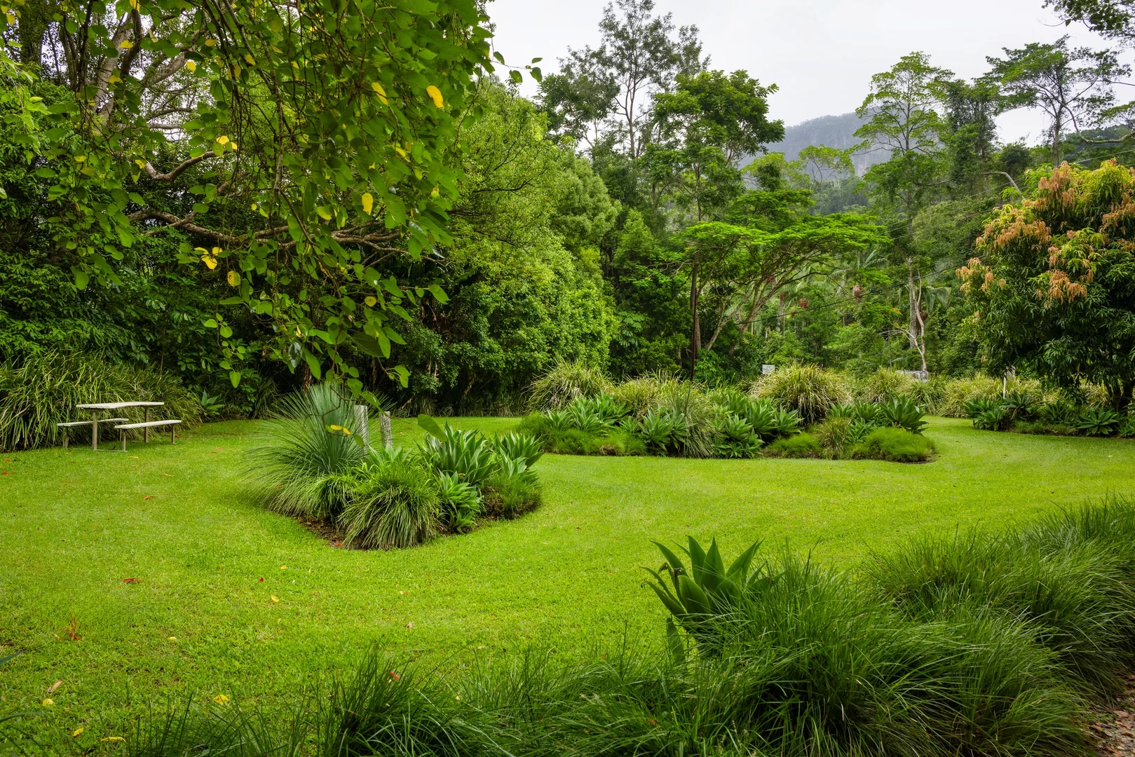 Additional image 23 of 715 Left Bank Road, Mullumbimby Creek NSW 2482