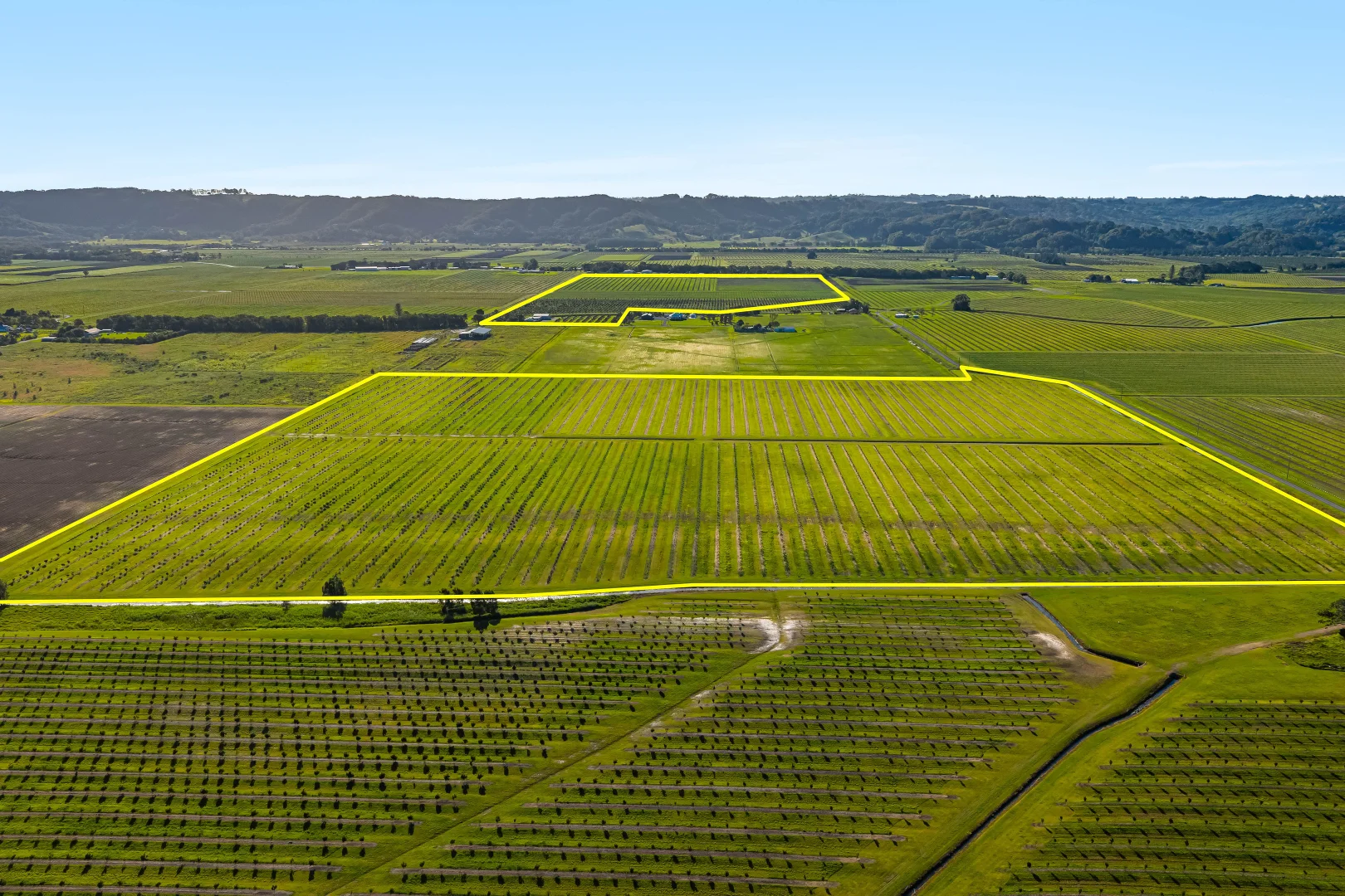 Additional image 11 of 134 Hermans Lane, Pimlico NSW 2478