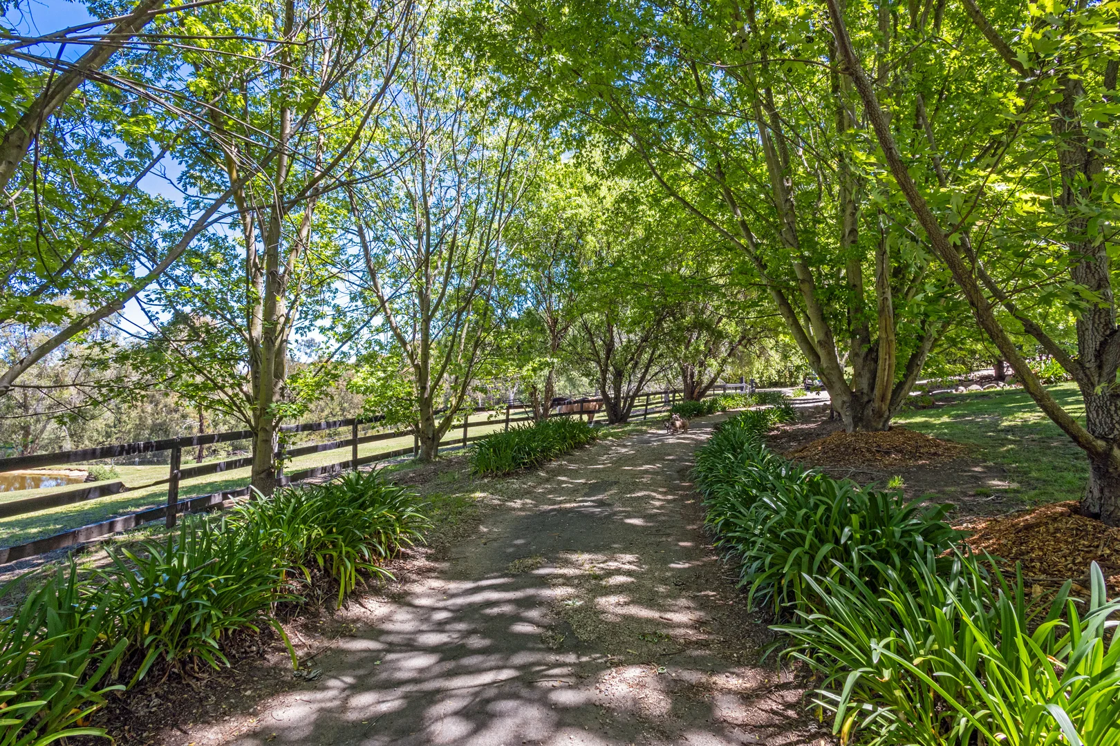 Additional image 9 of 38B Morris Place, Little Hartley NSW 2790