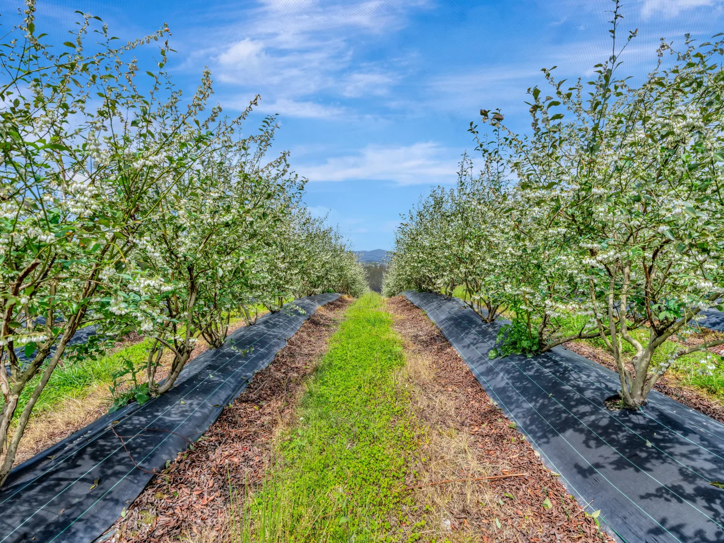 Additional image 7 of 13 Schuppe Drive, Congarinni North NSW 2447