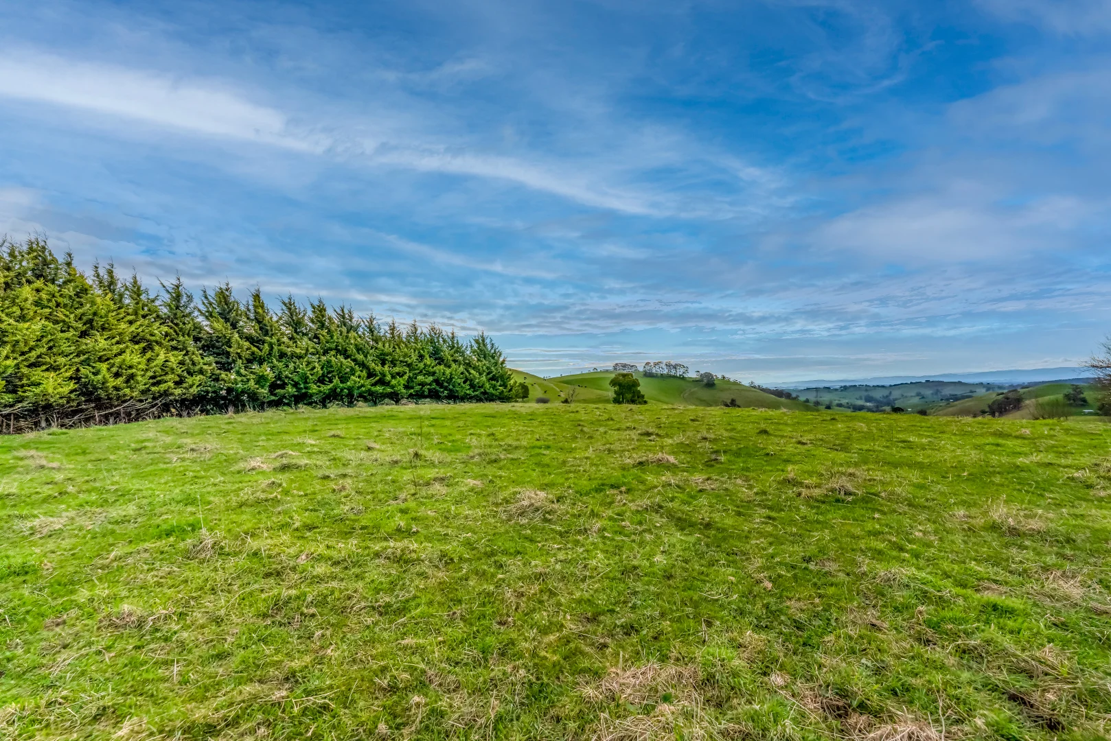 Additional image 4 of 91 Mountain View- McDonalds Track, Mountain View VIC 3988