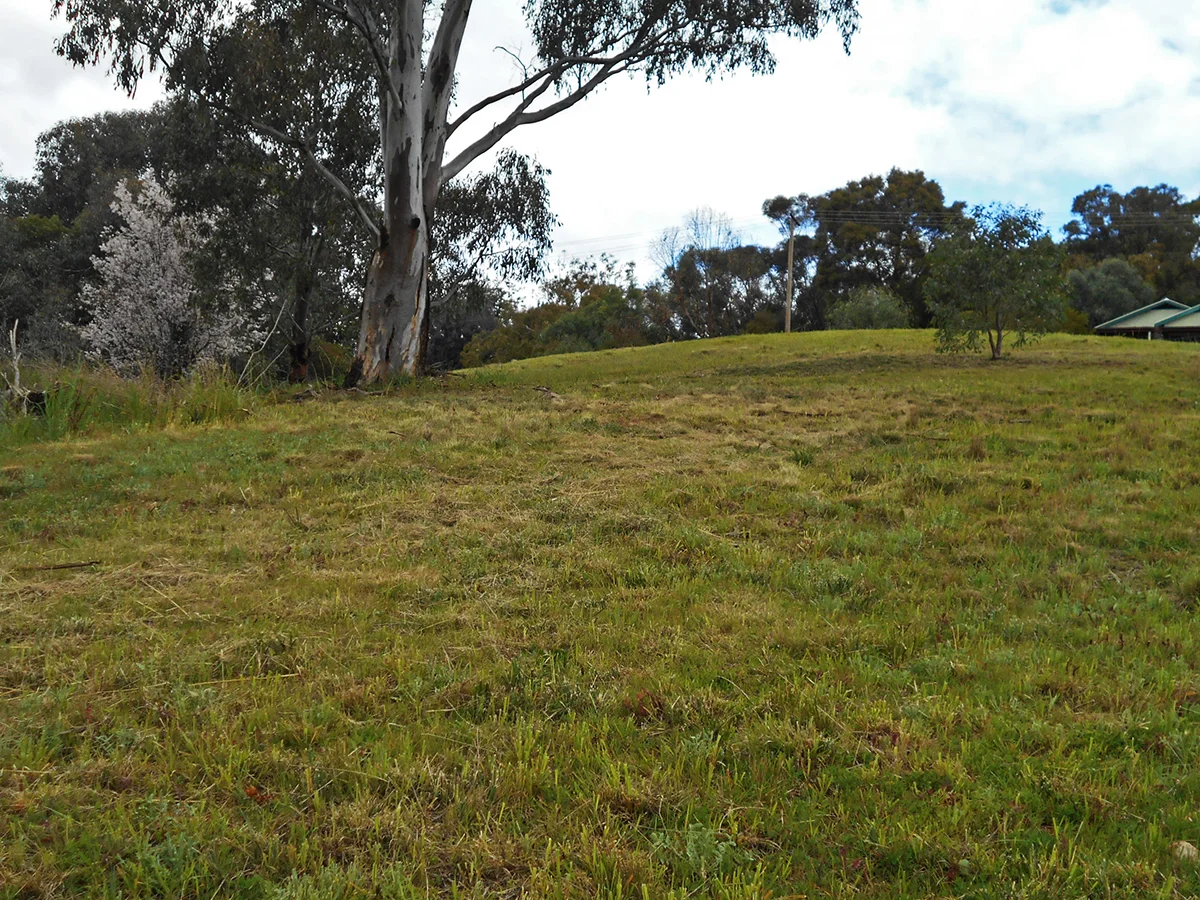 Additional image 23 of 33 Francis Ave, Gundagai NSW 2722