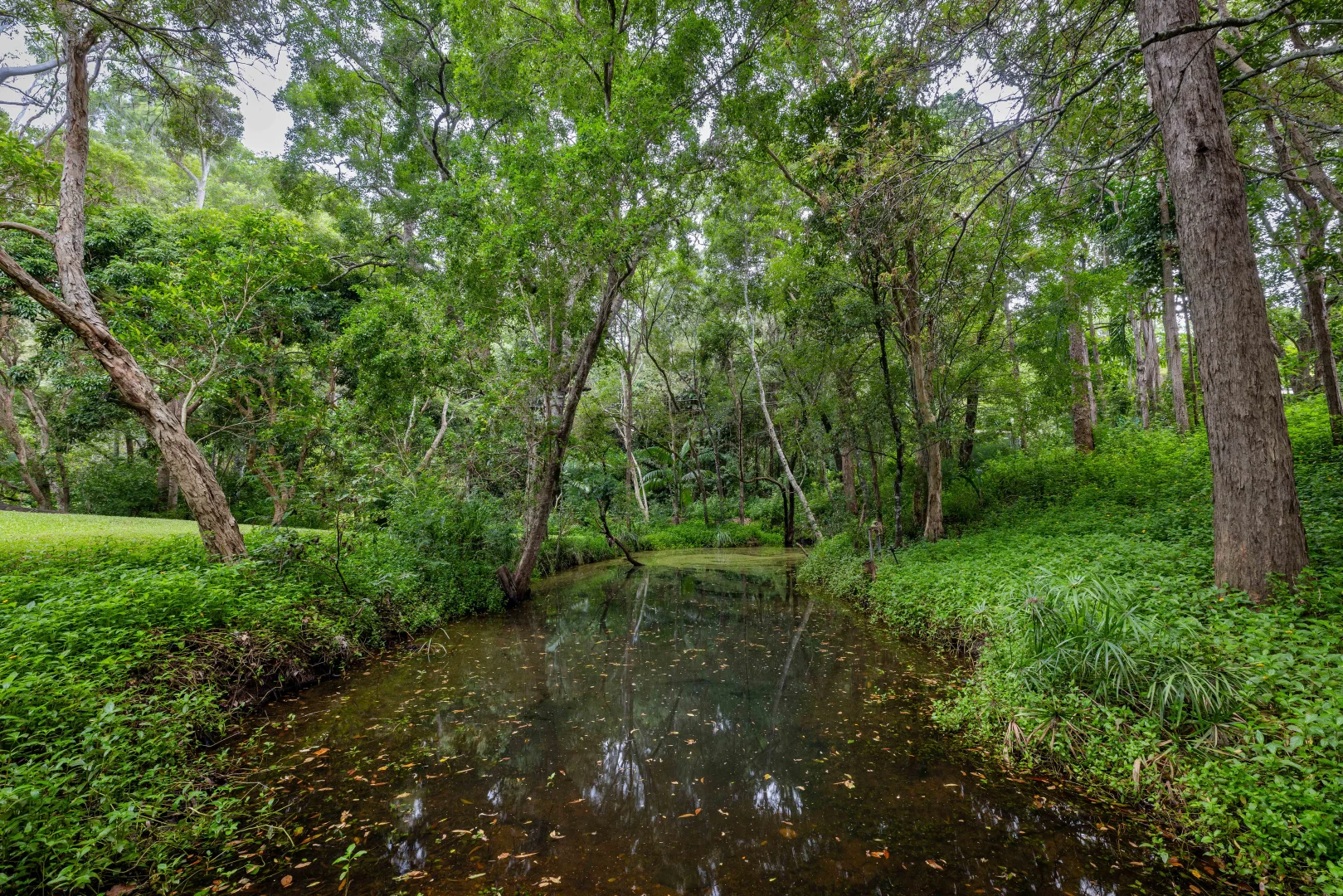 Additional image 18 of 31 Vores Road, Whiteside QLD 4503