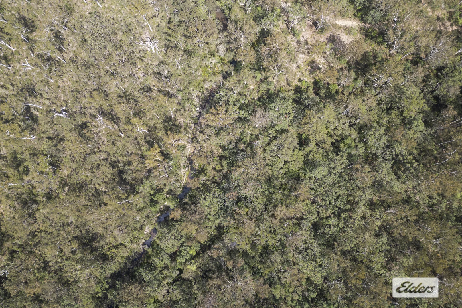 Additional image 36 of 3196 Orara Way, Kremnos NSW 2460