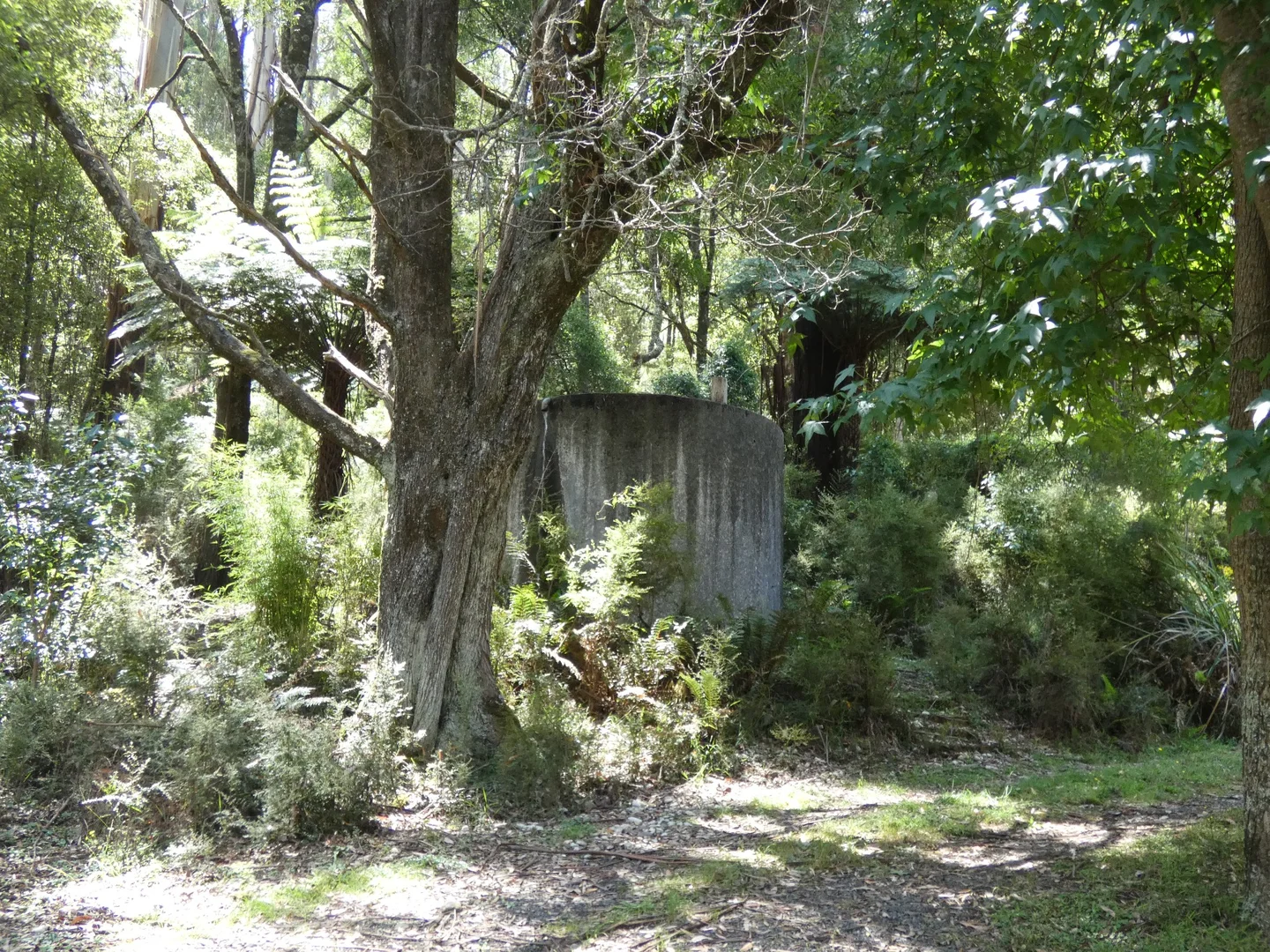 Additional image 6 of 120 Yuonga Road, Warburton VIC 3799