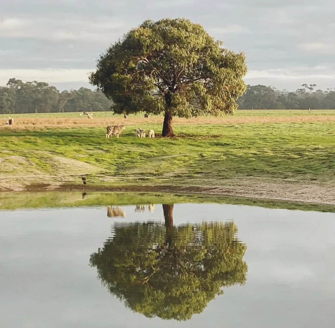 Additional image 4 of Lot/11 Casterton Apsley Road, Apsley VIC 3319