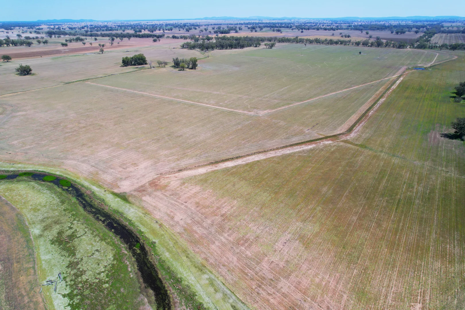 Additional image 29 of 2071 Yarrabandai Road, Bedgerabong NSW 2871