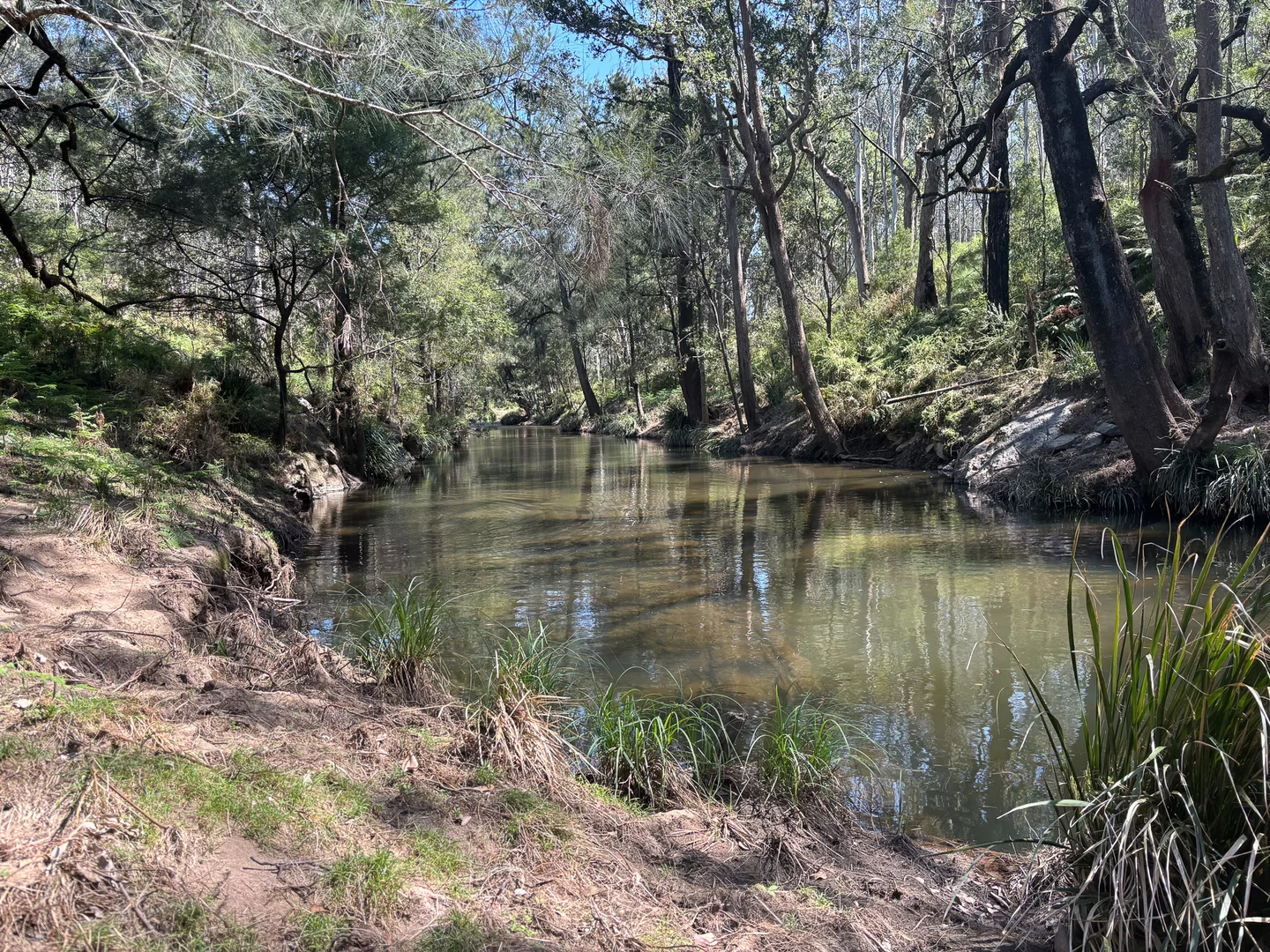Additional image 9 of 638 Tops Road, Nowendoc NSW 2354