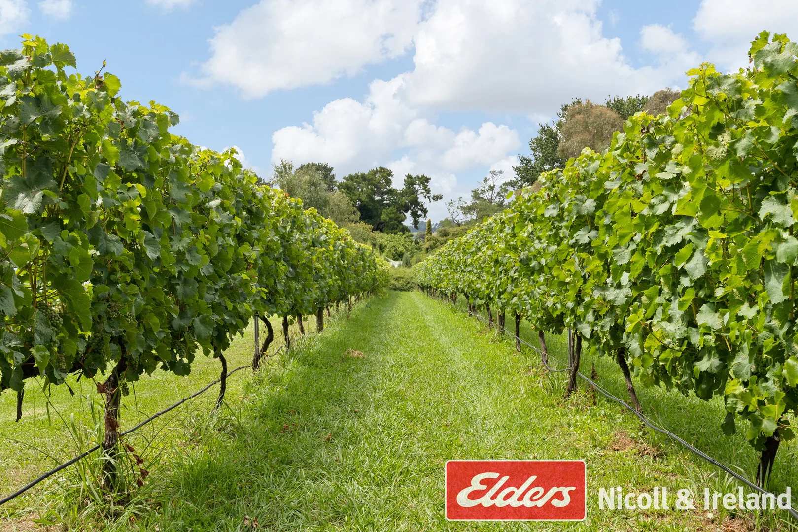 Additional image 4 of 42 Wallace Lane, Canobolas NSW 2800