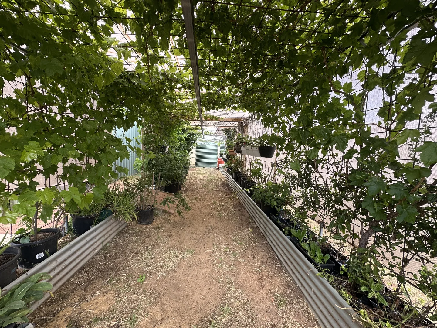 Additional image 22 of 22 Rifle North Street, Wagin WA 6315