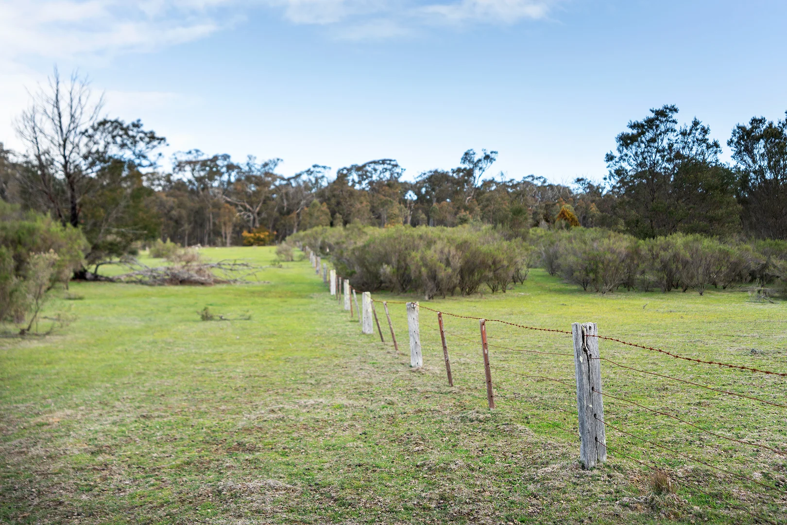 Additional image 13 of 130 Cypress Drive, Elphinstone VIC 3448