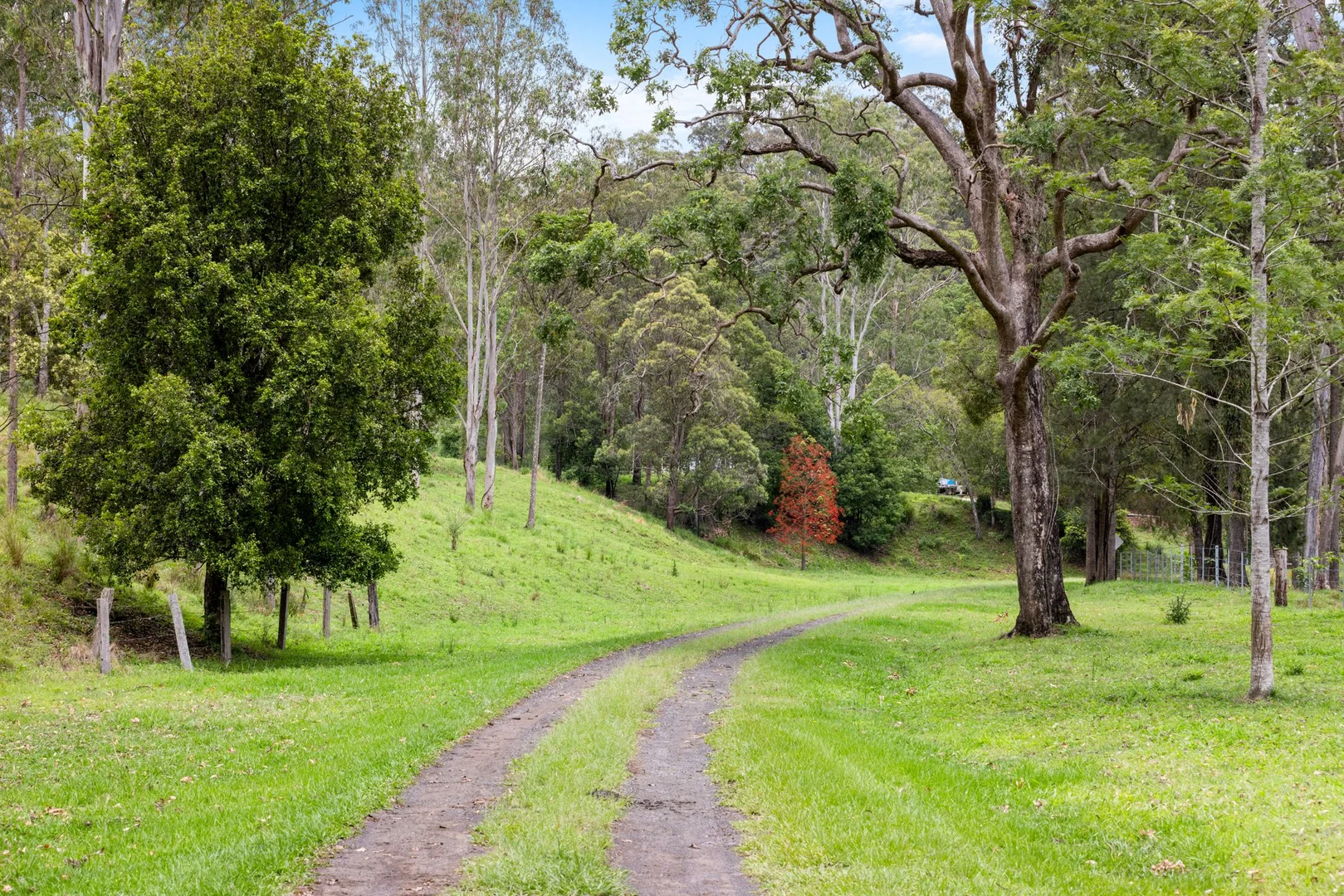Additional image 31 of 737 Smiths Creek Road, Smiths Creek, Kyogle NSW 2474