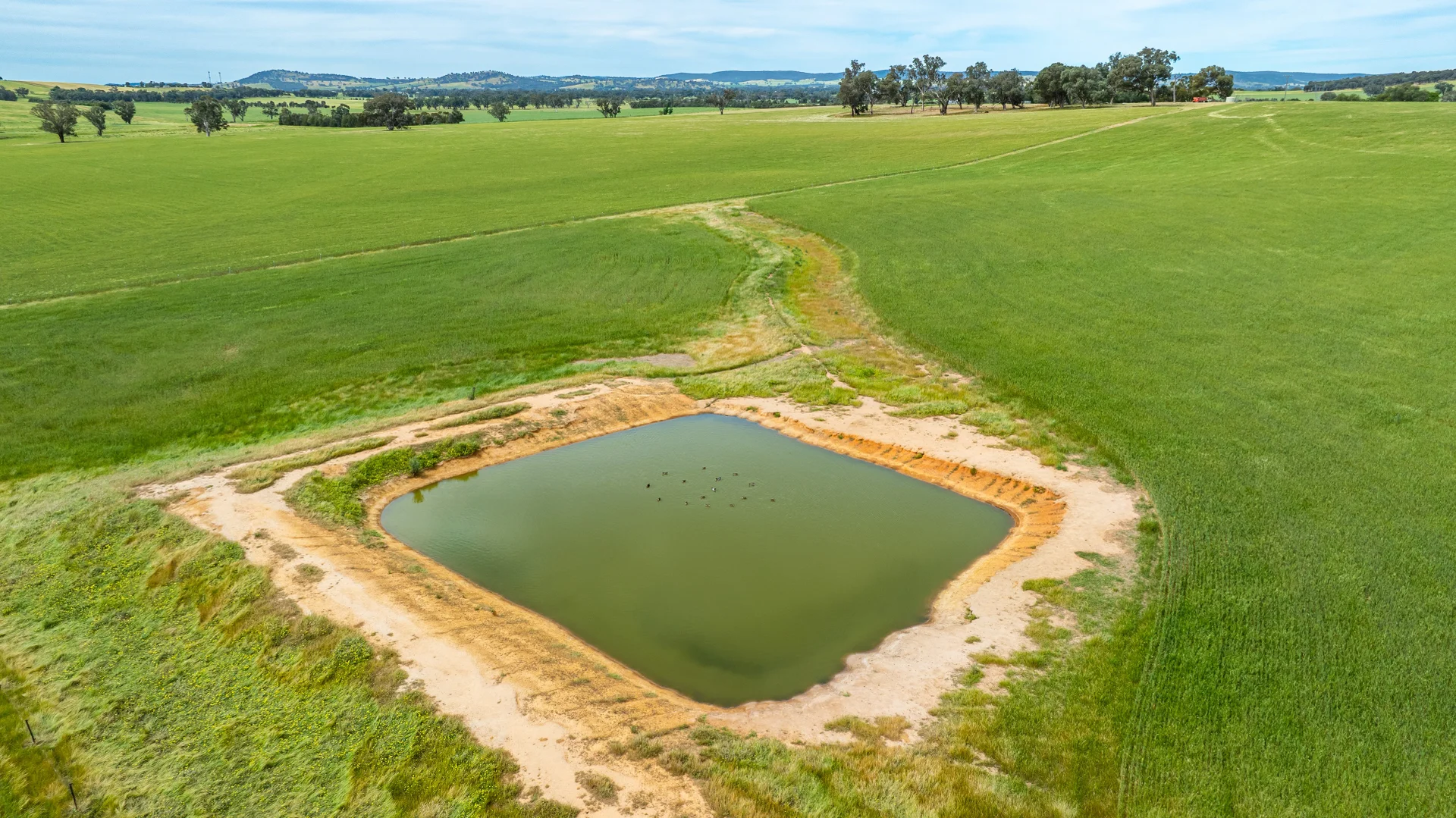 Additional image 11 of 1470 Yerong Creek Mangoplah Road, Mangoplah NSW 2652